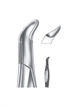 Extracting Forceps